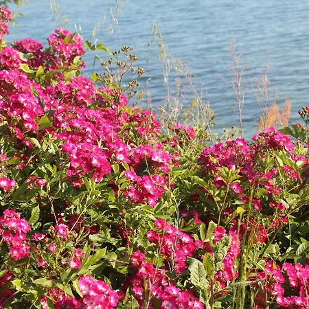 Sea View Relax 圣弗拉斯